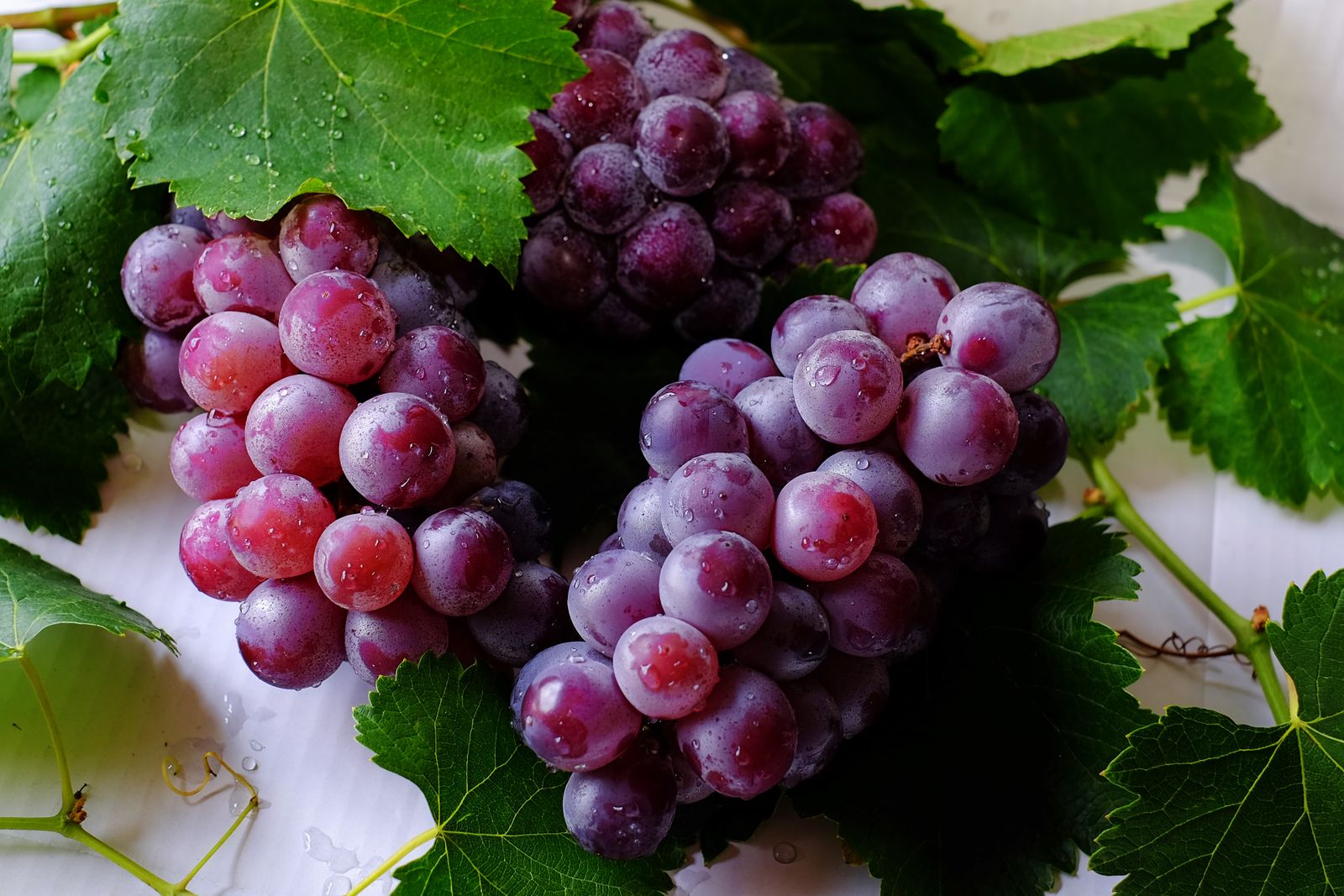 Fresh red and purple grapes containing polyphenols and other plant compounds